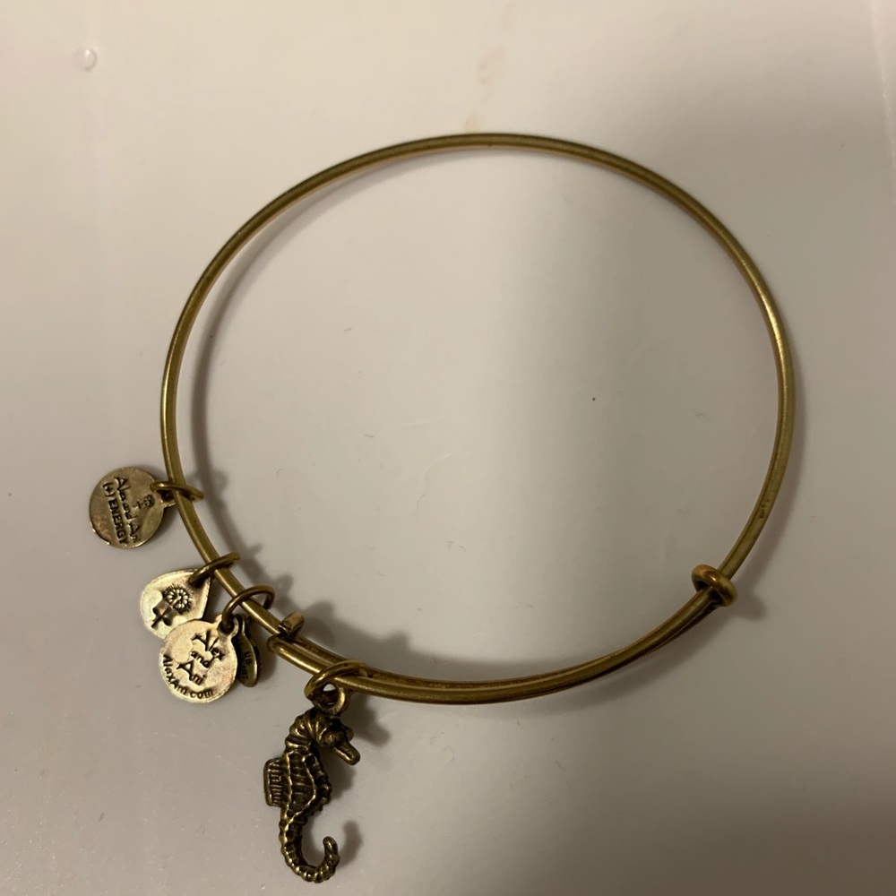 alex and ani seahorse braclet